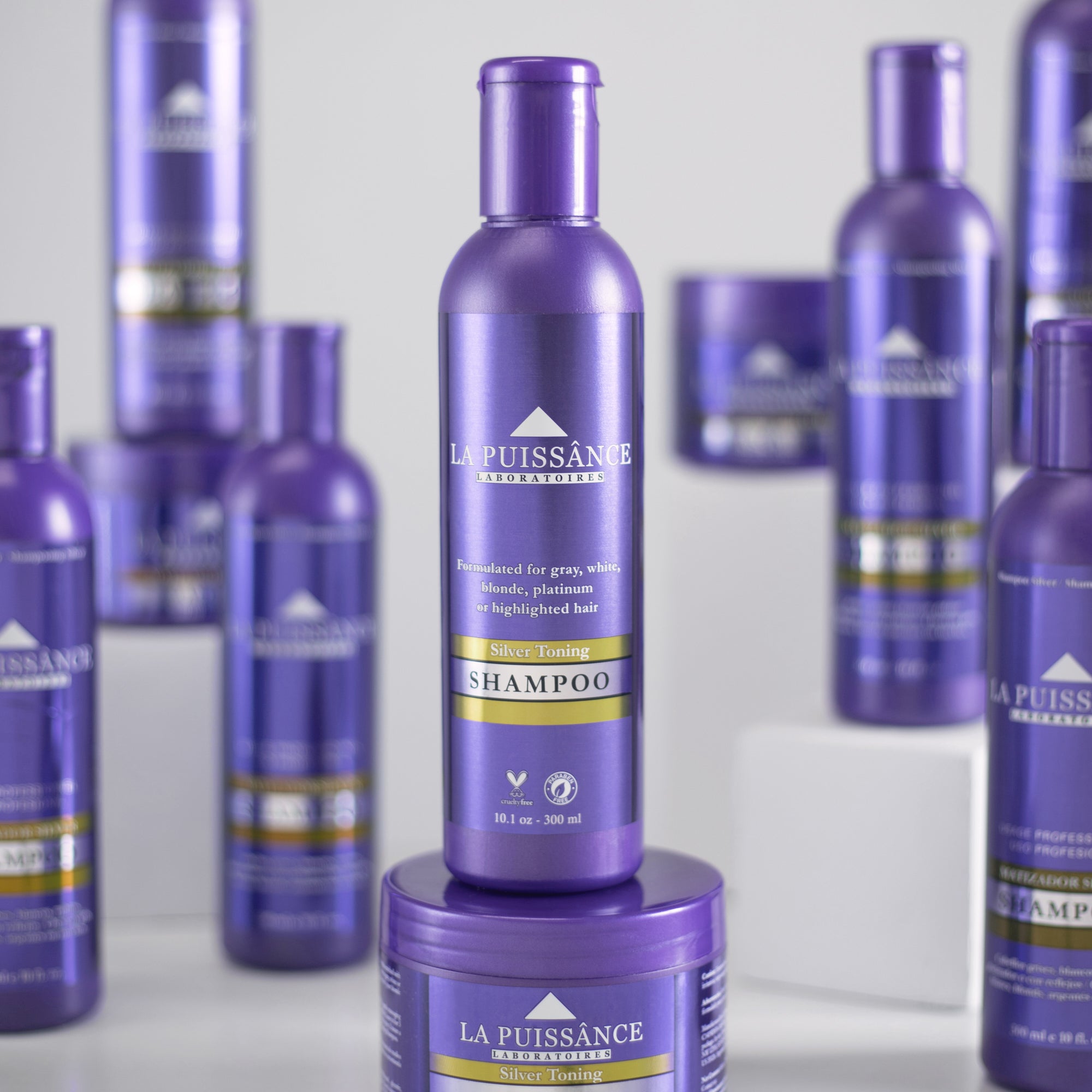 Silver | Kit Matizador