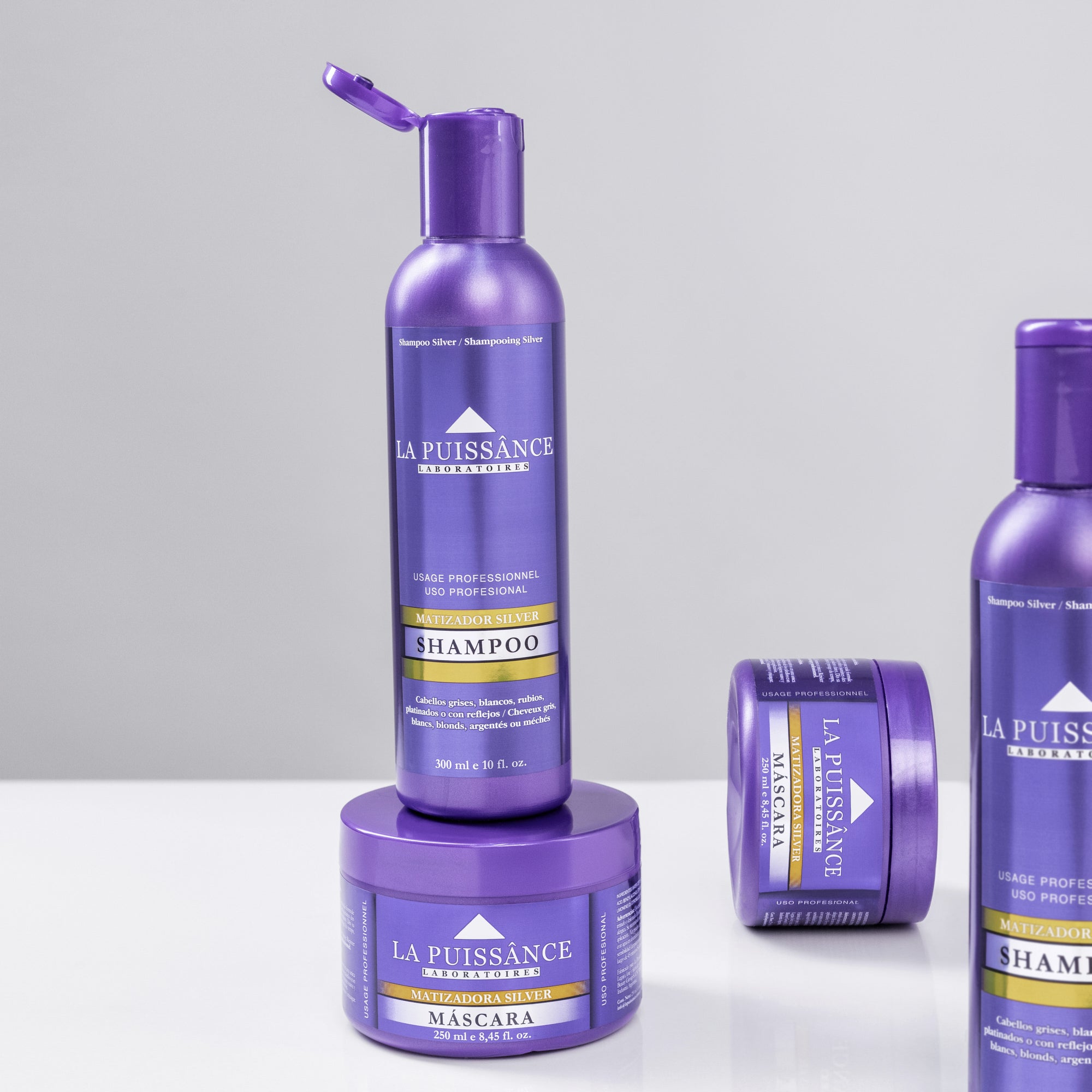 Silver | Kit Matizador